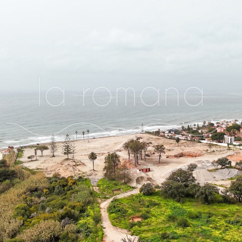 Jardines de los pinos