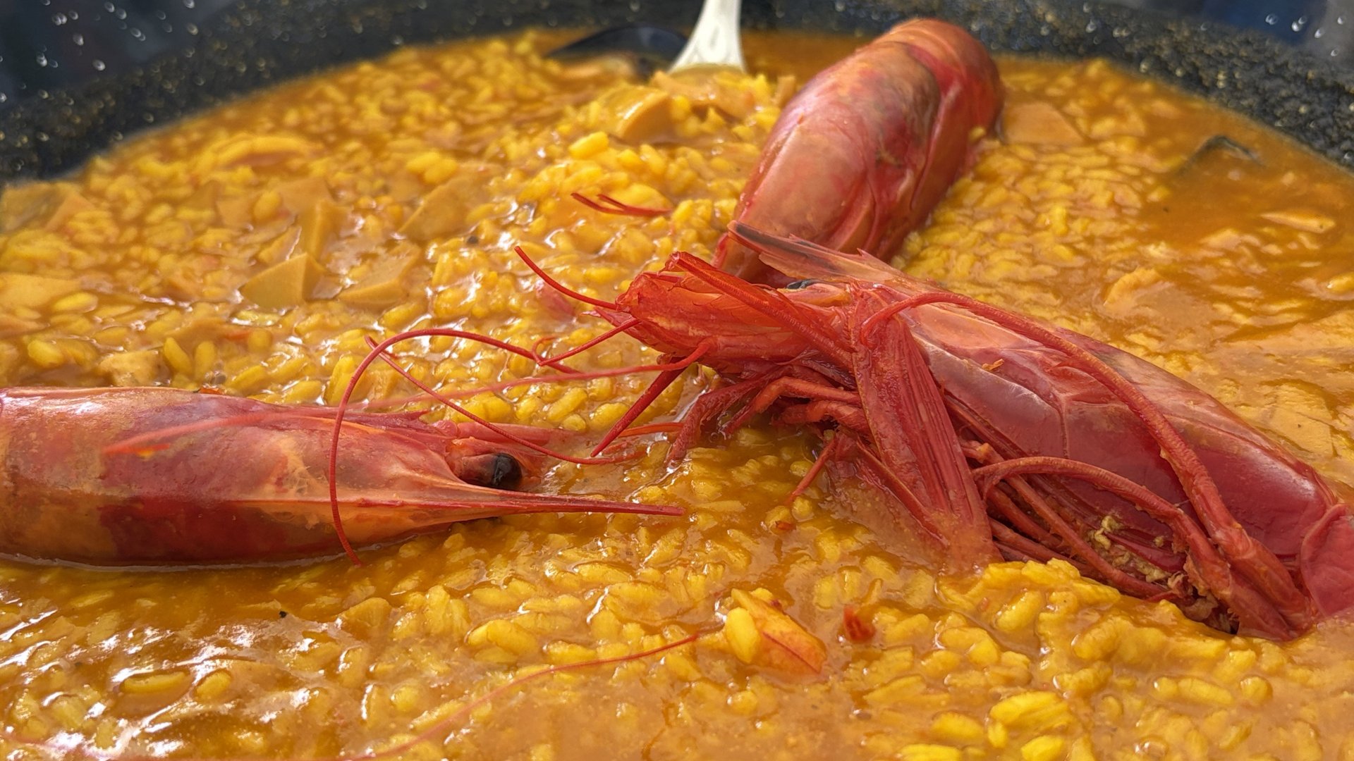 Estepona marina: one of our favorite spots on the Costa del Sol