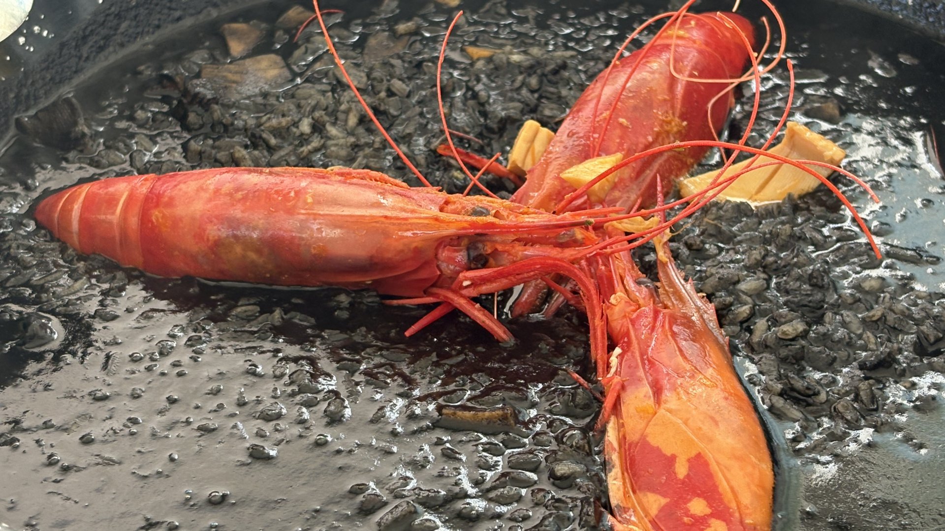 Estepona marina: one of our favorite spots on the Costa del Sol