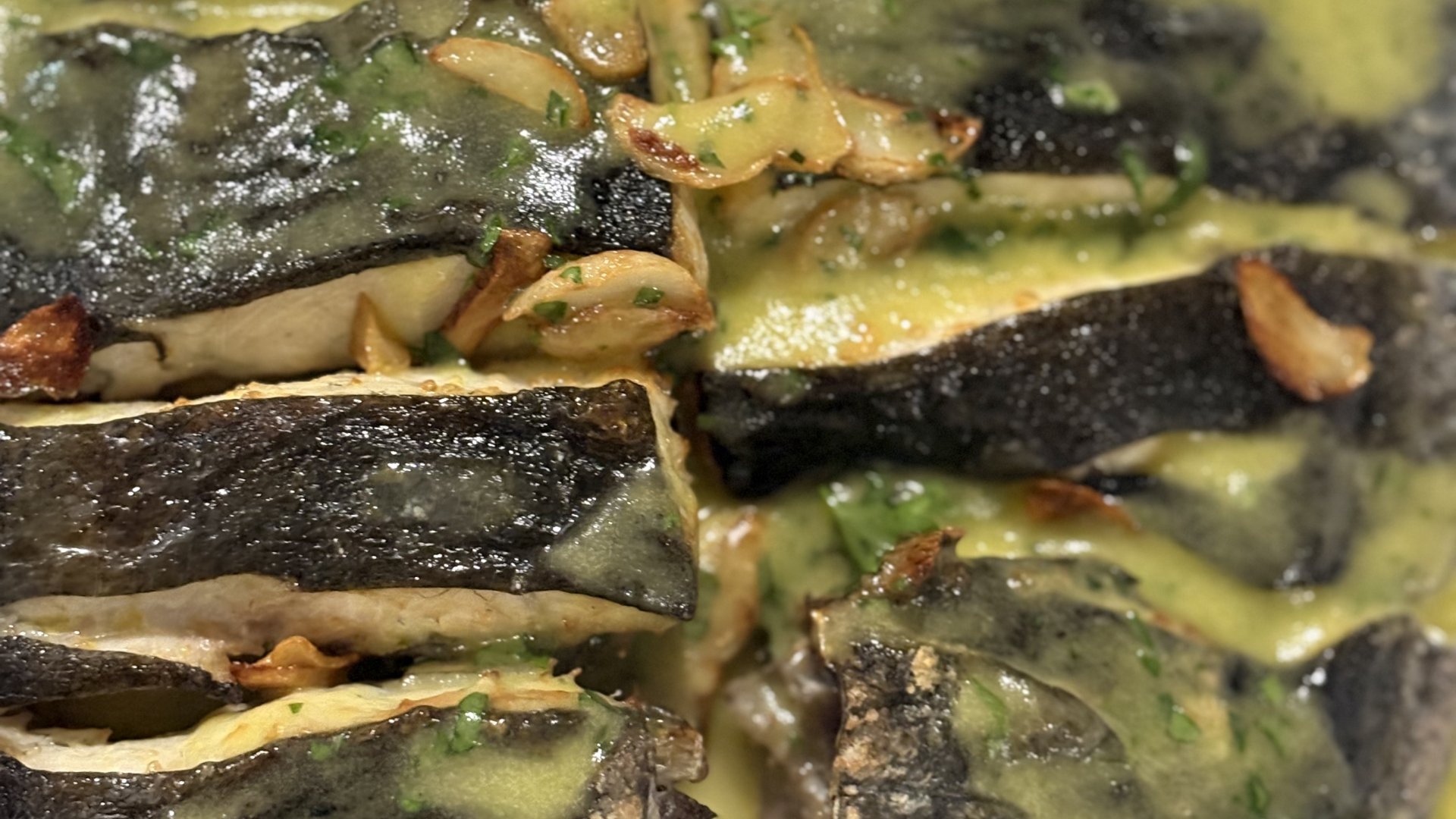 Estepona marina: one of our favorite spots on the Costa del Sol