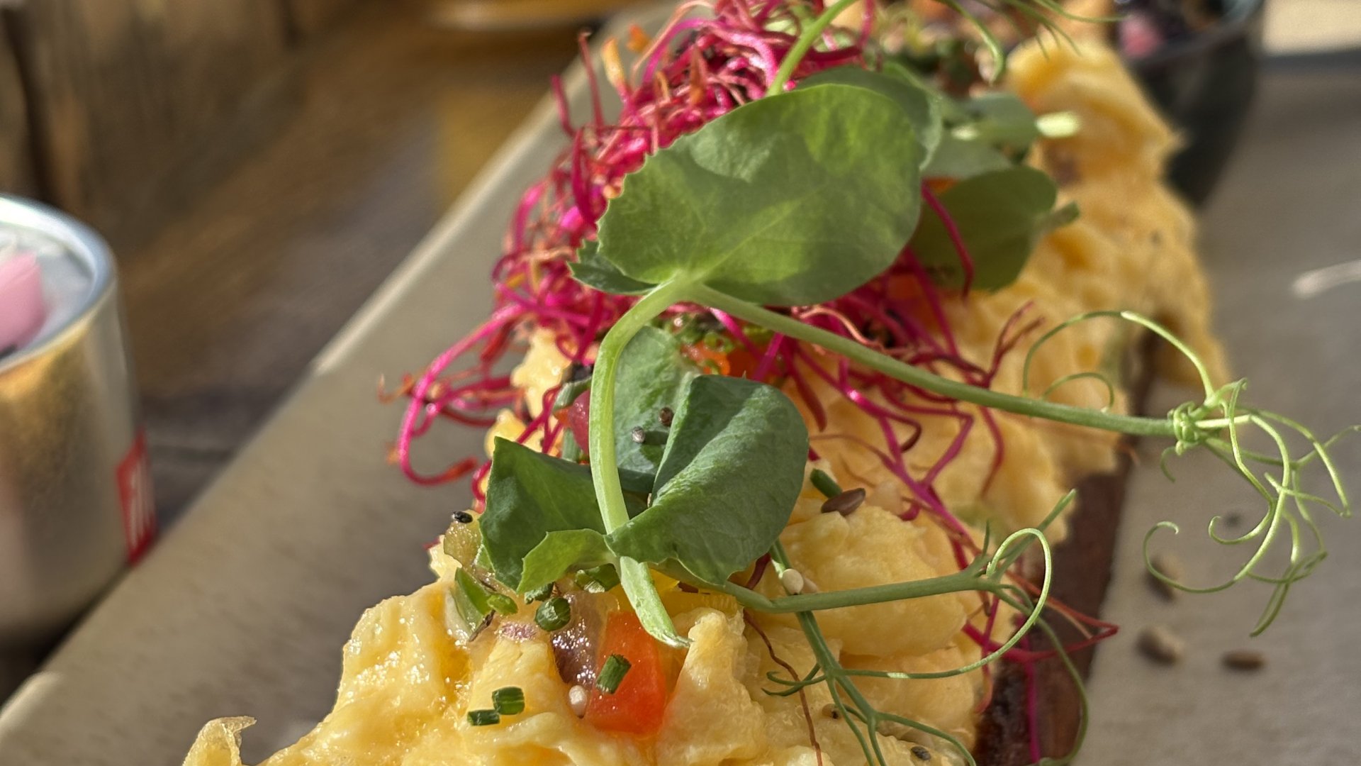 Estepona marina: one of our favorite spots on the Costa del Sol