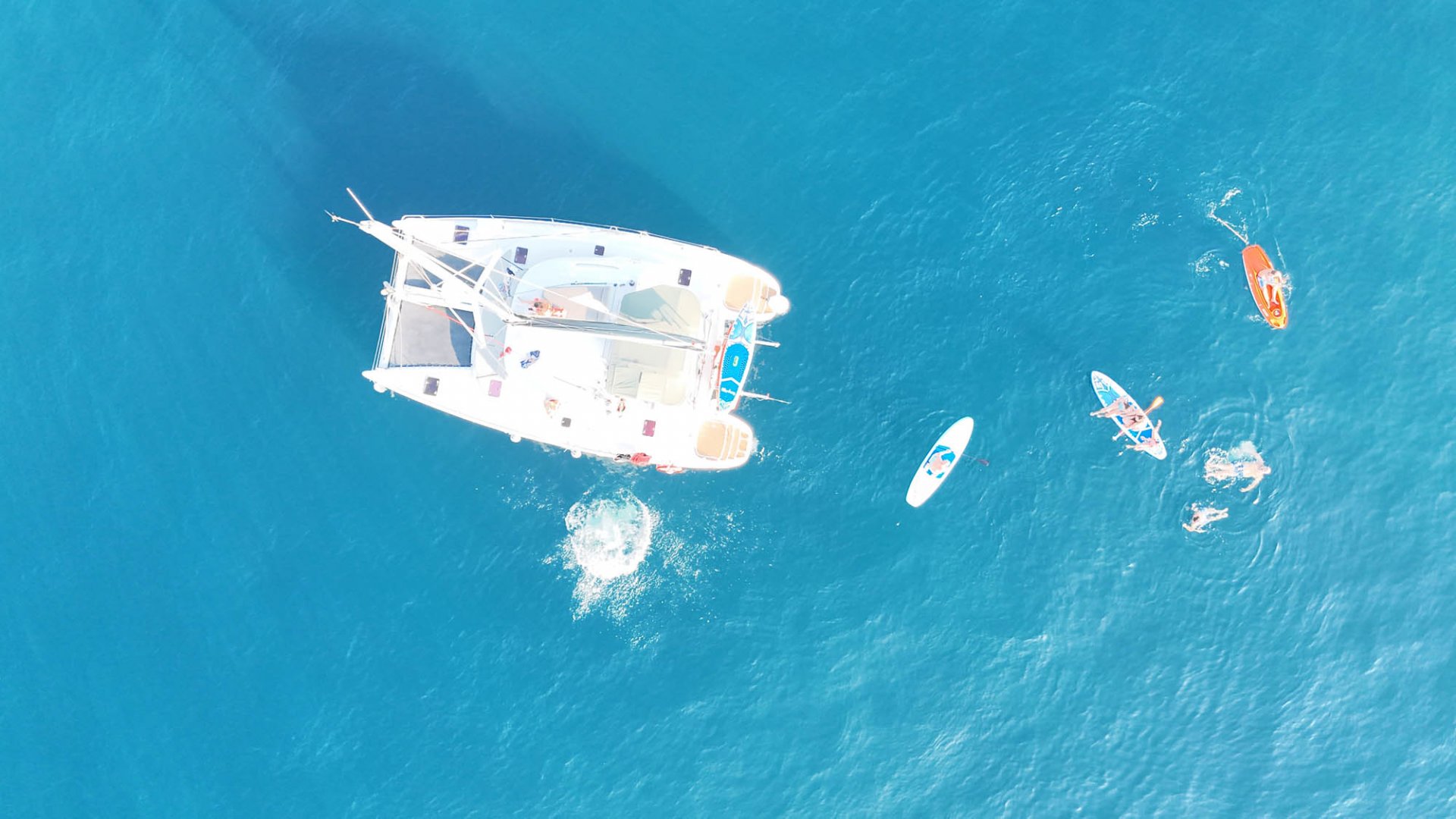 12m Catamarán 12pax