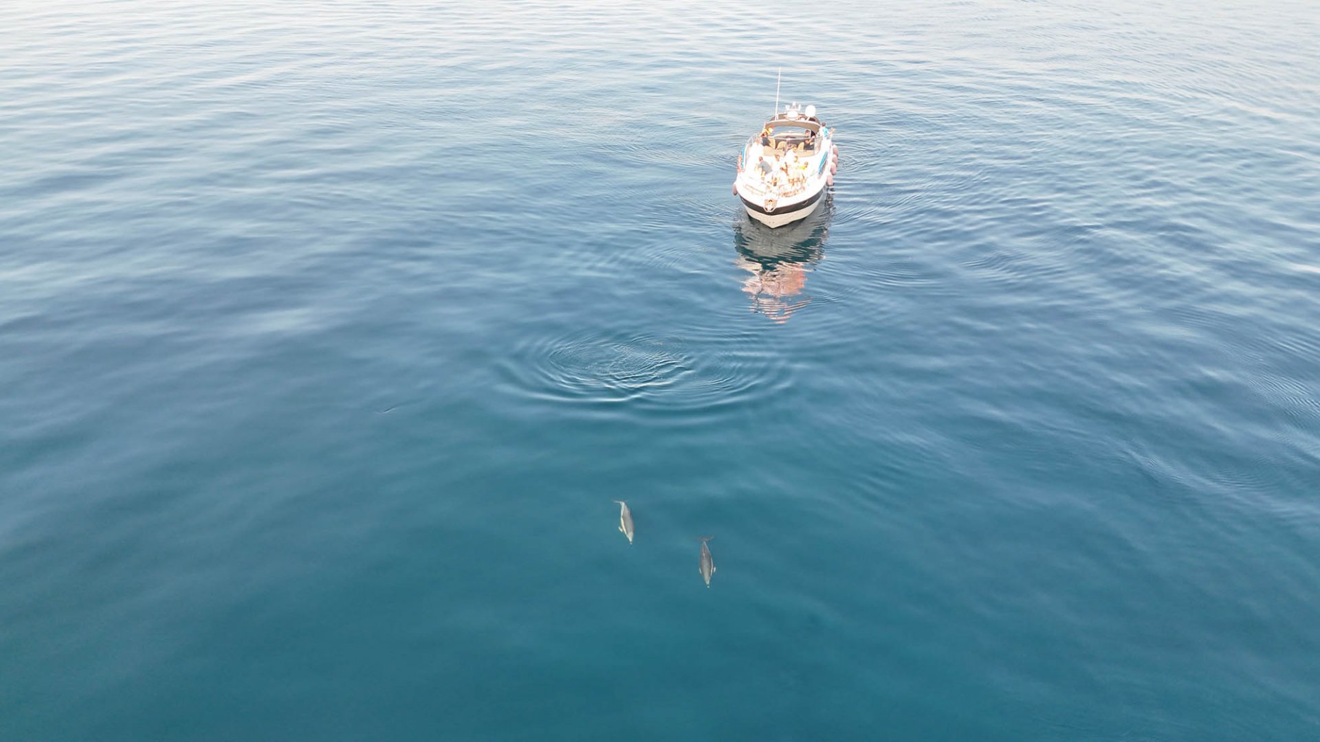 15m Yacht Cranchi 12pax